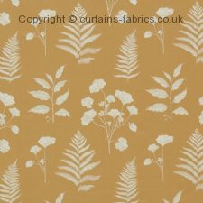Viewing AMARANTH by ASHLEY WILDE DESIGN