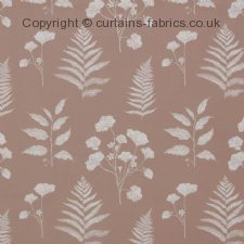 Viewing AMARANTH by ASHLEY WILDE DESIGN