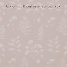 Viewing AMARANTH by ASHLEY WILDE DESIGN