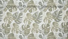 Viewing DELICIOSA by ASHLEY WILDE DESIGN