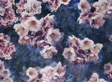JOLANDA fabric by ASHLEY WILDE DESIGN