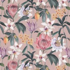 HAVANA fabric by BELFIELD FURNISHINGS