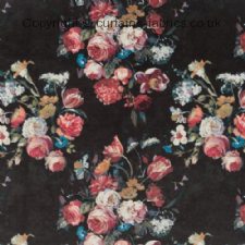 Viewing DANBURY by BILL BEAUMONT TEXTILES