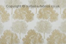 ELATION  fabric by BILL BEAUMONT TEXTILES