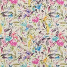 Viewing HUMMINGBIRD  by BILL BEAUMONT TEXTILES