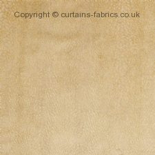 Viewing KAPURI by BILL BEAUMONT TEXTILES