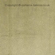 Viewing KAPURI by BILL BEAUMONT TEXTILES