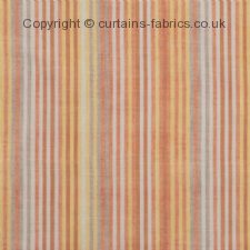 ZINNIA fabric by BILL BEAUMONT TEXTILES