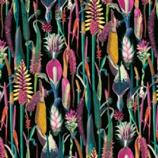 Viewing BORNEO by CHATHAM GLYN FABRICS