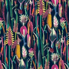 Viewing BORNEO by CHATHAM GLYN FABRICS