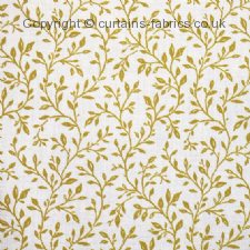 Viewing MIRANDA by CHATHAM GLYN FABRICS