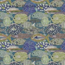 Viewing BASS by CHESS DESIGNS