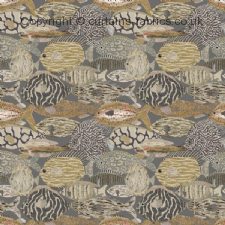 Viewing BASS by CHESS DESIGNS