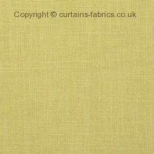 EASTON F0736 fabric by CLARKE and CLARKE