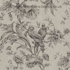 KELLIE F0626 fabric by CLARKE and CLARKE