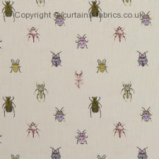 Viewing BEETLE F1095 by CLARKE and CLARKE
