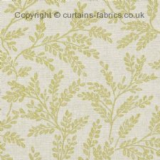 Viewing FERNDOWN F1179 by CLARKE and CLARKE