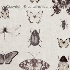 Viewing PAPILIO F1093 by CLARKE and CLARKE