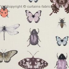 Viewing PAPILIO F1093 by CLARKE and CLARKE