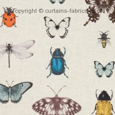 Viewing PAPILIO F1093 by CLARKE and CLARKE