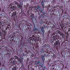 PAVONE F1094 fabric by CLARKE and CLARKE