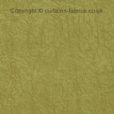 Viewing ABELIA F1434 by CLARKE and CLARKE