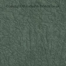 Viewing ABELIA F1434  by CLARKE and CLARKE