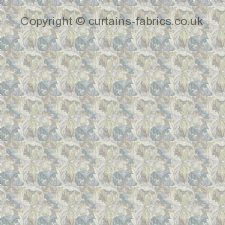 Viewing  dis contACANTHUS F1681 by CLARKE and CLARKE
