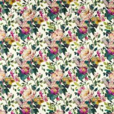 Viewing BLOOM F1613 NEW DESIGN by CLARKE and CLARKE