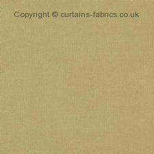 LAZIO F1537  fabric by CLARKE and CLARKE