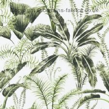 Viewing MAJORELLE F1366  by CLARKE and CLARKE