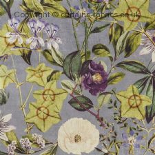 Viewing PASSIFLORA F1304  by CLARKE and CLARKE