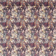 Viewing ROSEDENE F1539 by CLARKE and CLARKE