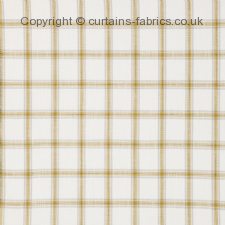 Viewing CHELONE by CURTAIN EXPRESS