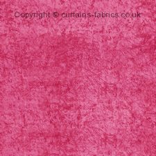 Viewing DANNI by CURTAIN EXPRESS