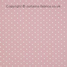 Viewing DOTTY by CURTAIN EXPRESS