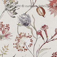 Viewing Grove by CURTAIN EXPRESS