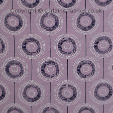 Viewing LOTTY by CURTAIN EXPRESS