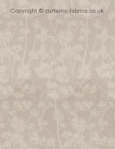 Viewing RISO by CURTAIN EXPRESS
