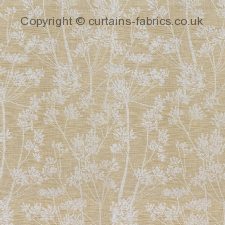 Viewing RISO by CURTAIN EXPRESS