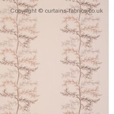Viewing TIVOLI by CURTAIN EXPRESS