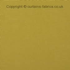 Viewing CARRERA by FRYETTS FABRICS