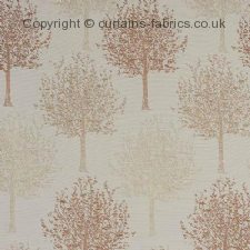 ROSSINI fabric by FRYETTS FABRICS