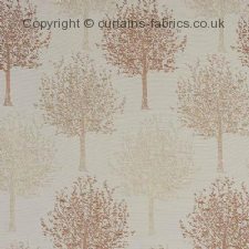 ROSSINI fabric by FRYETTS FABRICS