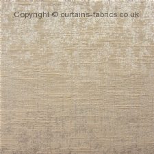 Viewing TUTTI NEW DESIGN by HARDY FABRICS