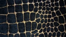 KILIMANJARO fabric by PORTER & STONE