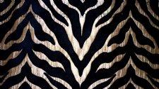 LIMPOPO fabric by PORTER & STONE