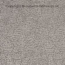 Viewing SERPA by PORTER & STONE
