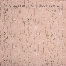 Viewing ALMOND BLOSSOM 8686  by PRESTIGIOUS TEXTILES