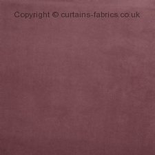 Viewing BELGRAVIA 3833  by PRESTIGIOUS TEXTILES